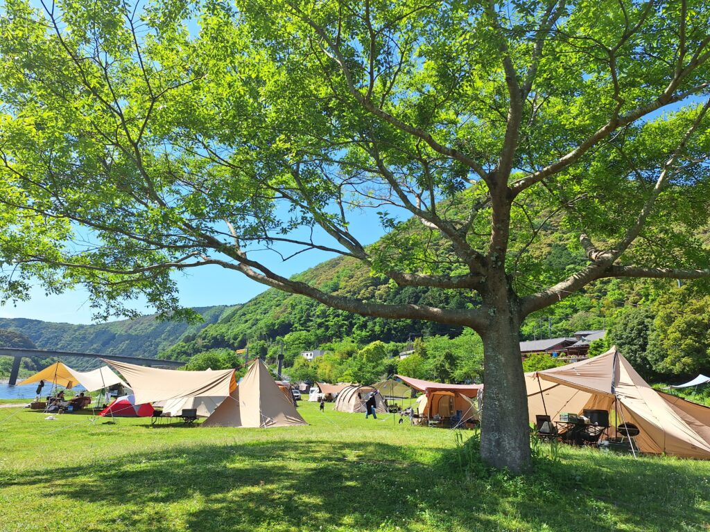 夏まで秒読み!!